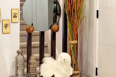 a white dog sitting on a table next to a mirror at Welcome to Happy Place where Cozy Comfort Meets Exquisite Luxury in Edmonton
