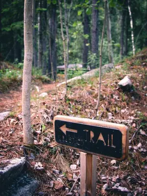 a sign for a trail in the woods at Black Spruce - Orange Door in Whitehorse