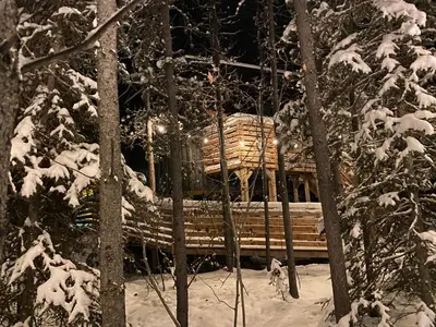 a log cabin in the snow in the woods at Black Spruce - Yellow Door in Whitehorse