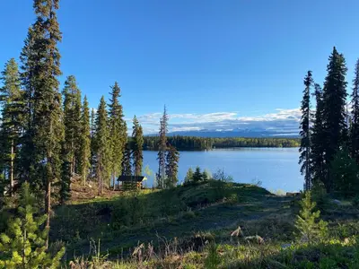 a view of a lake with trees and a house at Red Cariboo Resort in Anahim Lake