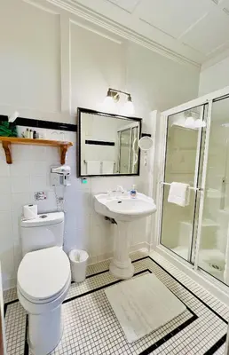 a bathroom with a toilet and a sink and a shower at The Latch Inn in Sidney