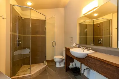 a bathroom with a sink and a shower and a toilet at Copper Horse Lodge in Golden