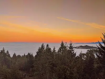 a sunset over the ocean with trees in the foreground at Mountain House of Wonder in Qualicum Beach