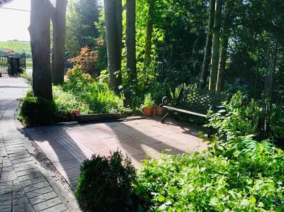 a park with a bench and some plants and trees at Saanichton Waterfront 2BR suite with superb views in Saanichton