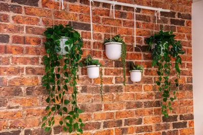 a brick wall with potted plants on it at Luxe New York Style Bsmt Suite, Near DT & WEM, King Bed, WiFi in Edmonton