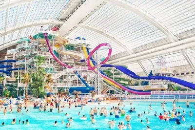 a group of people in a pool at a water park at Luxe New York Style Bsmt Suite, Near DT & WEM, King Bed, WiFi in Edmonton