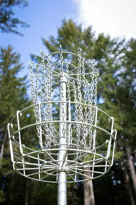a metal frisbee net with trees in the background at Smith Lake Farm in Merville