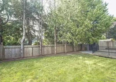 a backyard with a fence and a yard with green grass at New Master room & private washroom 203 in Richmond