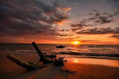 a sunset on the beach with a log on the sand at Four Seasons Private Villa in Powell River