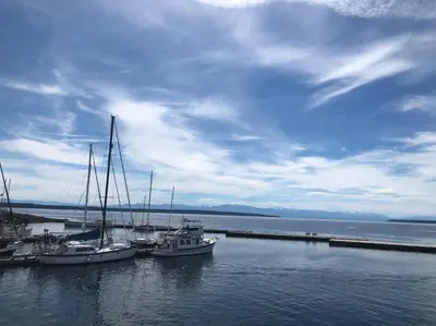 a group of boats docked at a dock in the water at Four Seasons Private Villa in Powell River