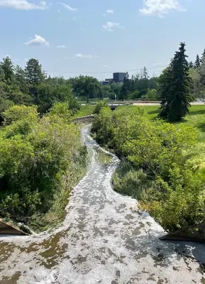 a stream of water in a field with trees at Stunning 1 Bedroom Apartment in Camrose