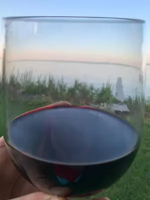 a person holding a glass of red wine at 4 Seasons Lakeview Cottage w/ Private Boating Dock in Westerose