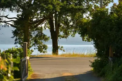 a road with trees and the ocean in the background at The Bayside Cottage by EMR Vacation Rentals in North Saanich