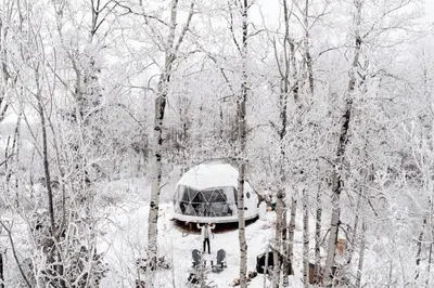a tent in the middle of a forest covered in snow at Refuge Bay's Ignis Dome - Luxury Off Grid Escape in Cherhill