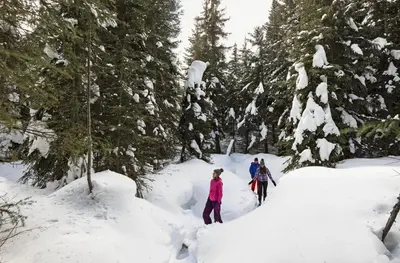 three people cross country skiing through a snow covered forest at Echo Landing #37 condo in Sun Peaks