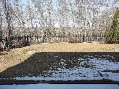 a yard with snow on the ground and a fence at Spacious One Bedroom Walkout Basement Suite in Calgary