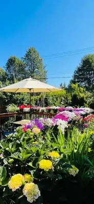 a table with an umbrella in a garden with flowers at Garden home in Victoria in Victoria