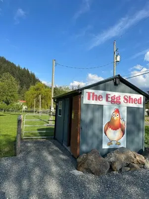 a smallshed with a sign that says the egg shed at Lake Time Harrison in Harrison Hot Springs
