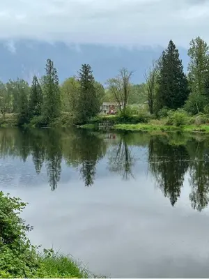 a lake with a house in the middle of it at Lake Time Harrison in Harrison Hot Springs