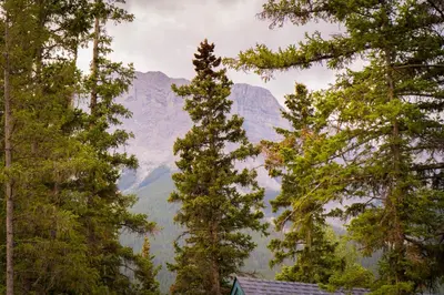 a view of a mountain through the trees at Romantic Luxury Retreat with Private Sauna & Spa, Pet Friendly, Elkside Hideout B&B in Canmore