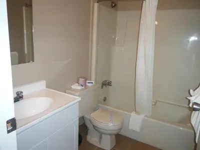 a bathroom with a toilet and a sink and a shower at Tumbler Ridge Inn in Tumbler Ridge