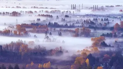 a foggy valley with trees in the fall at Derbyshire House in Coquitlam