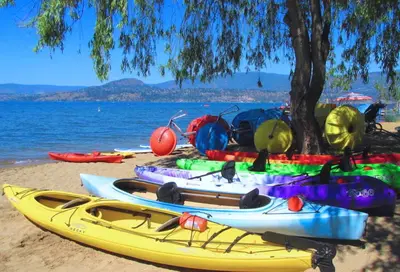a group of kayaks on a beach next to the water at Resort Style Living with Private Lawn and Patio in Kelowna