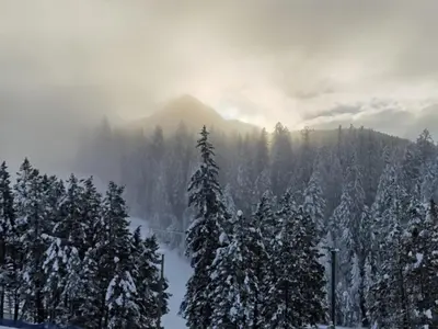 a snow covered forest with a mountain in the background at Mountain View Vacation Villa Main Floor Unit, No Stairs in Fairmont Hot Springs