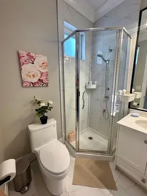 a bathroom with a toilet and a shower at Home sweet home in Richmond