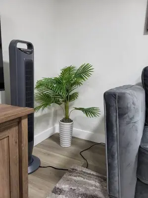 a plant in a living room next to a heater at Serene Haven - 1 bedroom apartment. in Calgary