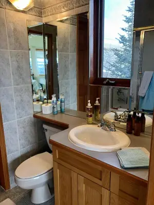 a bathroom with a sink and a toilet and a mirror at Rocky Mountain View Bed & Breakfast in Cochrane