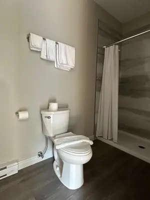 a bathroom with a white toilet and a shower at City Centre Motel II in Hope