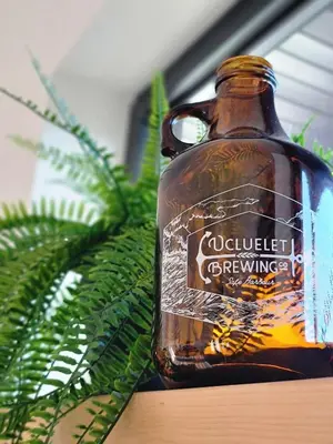 a bottle of whiskey sitting next to a green plant at Slack tide suite in Ucluelet
