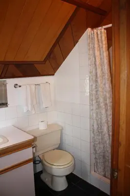 a bathroom with a toilet and a shower curtain at Orca Lodge in Sointula