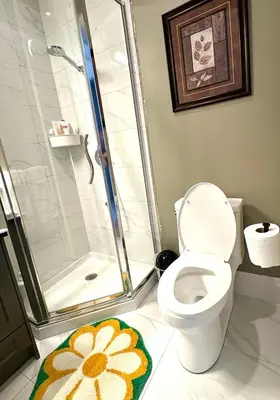 a bathroom with a shower and a toilet and a rug at Richmond Sweet home in Richmond