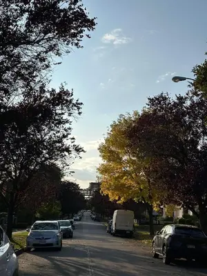 a street with cars parked on the side of the road at 2BR 1.5BA Full Kitchen Private Guest House - Free Parking - Central Location in Vancouver