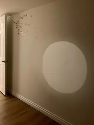 a wall with a large circle of paint on it at 3Beds 2BA Cherry Blossom Suite - Free Parking - Central Oakridge Neighbourhood in Vancouver
