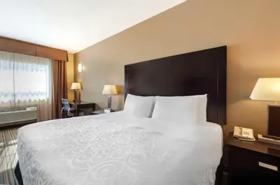 Gallery image of Best Western Plus Peace River Hotel & Suites in Peace River