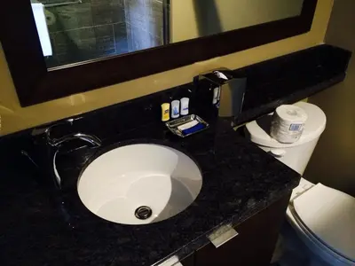 a bathroom counter with a sink and a toilet at A Good Nite's Rest Bed and Breakfast in Banff