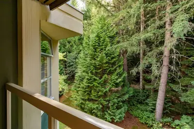 a balcony with a view of a forest at Woodrun Lodge 514 | Ski-In Ski-Out Condo w/ Pool, Hot Tub, Free Parking, Wifi & Laundry in Whistler