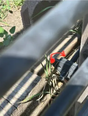 a plant in a wooden fence with a red object at Forth Street 2Bedroom Suite in Calgary