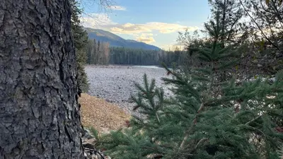 a view of a lake from behind a tree at River's Edge Retreat in Clearwater