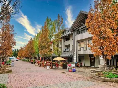 a cobblestone street in front of a building at The Eden Whistler - Luxury 2 BDRM Ski in / Ski out in Whistler