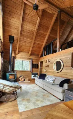 a living room with a couch and a wooden ceiling at Romantic Off-Grid Cabin by Glacier lake in Pemberton