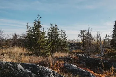 Gallery image of Yellowknife Downtown Toboggan Hill Retreat in Yellowknife