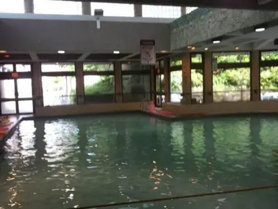 a large pool of water in a building at Vancouver’s Homey Laneway House in Vancouver