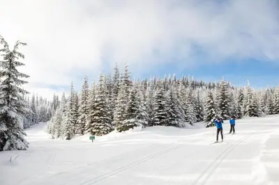 two people skiing down a snow covered slope with trees at Echo Landing #20 townhouse in Sun Peaks