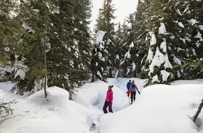 three people are walking through a snow covered forest at Echo Landing #20 townhouse in Sun Peaks