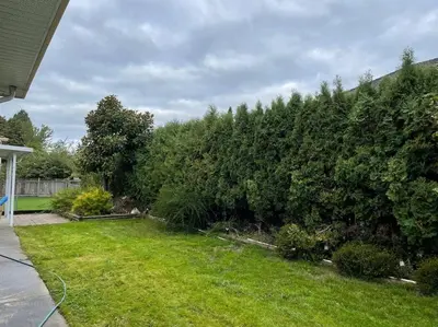 a hedge in a yard with grass and bushes at Richmond Cozy Place 2 in Richmond