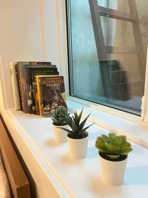 three potted plants on a window sill with books at Grand Boulevard Basement Suite in North Vancouver